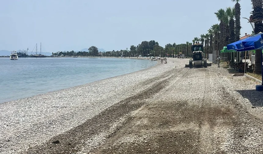 Muğla Milas'ta belediye ekipleri şehrin dört bir yanında