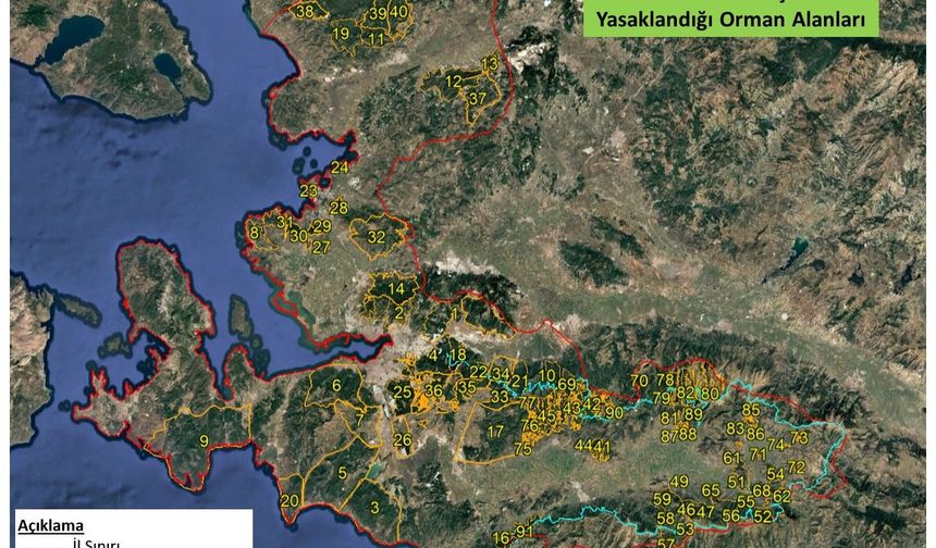 İzmir'de  orman yangınlarını önlemek için valilik kararnamesi...