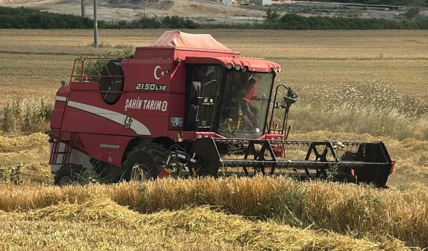 Edirne Keşan'da ilk arpa hasadı... Çiftçi fiyattan dertli