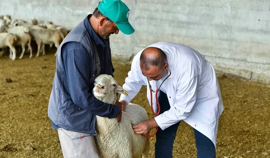 ABB'den 12 milyon liralık veteriner desteği