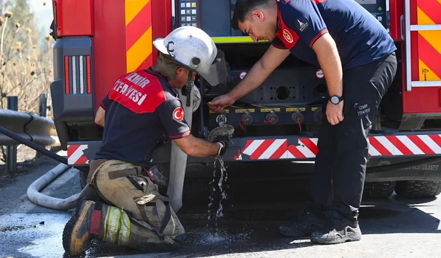 İzmir İtfaiyesi bukalemunu hayata döndürdü