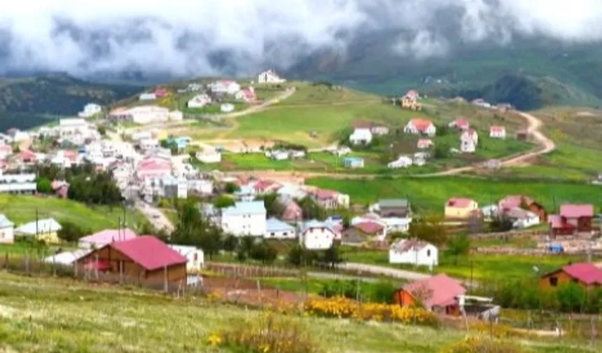 Ordu'da Çambaşı Yaylası'nda festival coşkusu