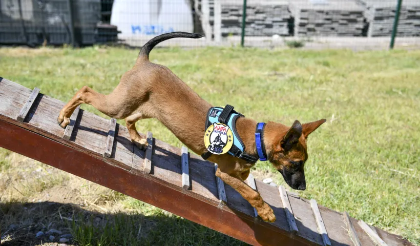 K9 ekipleri Başkent'te 7/24 görevde