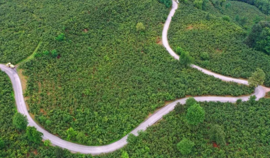 Ordu Büyükşehir'den Ulubey'e 7 kilometrelik asfalt yatırımı