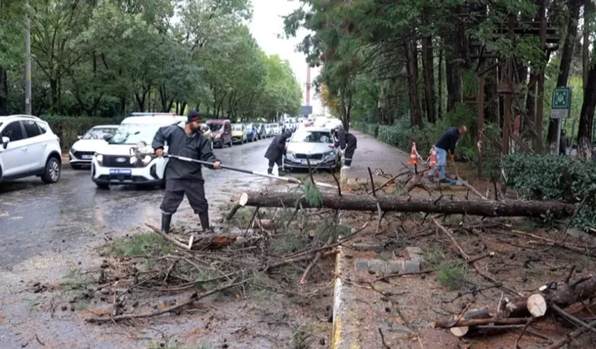 Beylikdüzü'nde yoğun yağış öncesi seferberlik