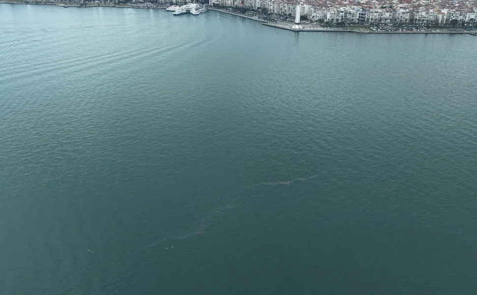 İzmir Körfezi'nde dış kaynaklı kirliliğin önüne geçilemiyor