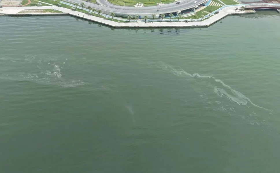 İzmir Körfezi'nde kirlilikte 10'uncu tespit