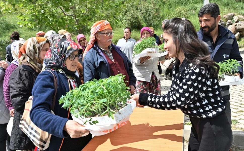 İzmir Bornova'da 150 bin yazlık sebze fidesi dağıtıldı