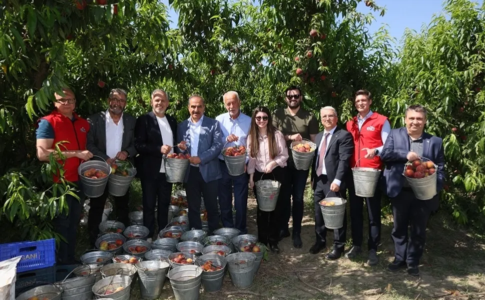 Şeftali ve nektarinde 250 milyon dolar ihracat hedefi