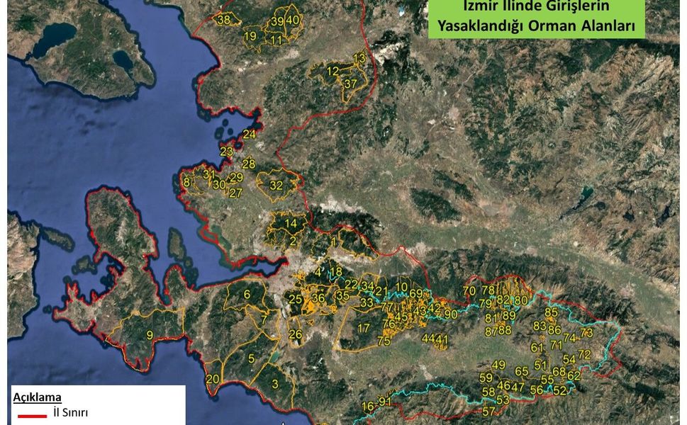 İzmir'de  orman yangınlarını önlemek için valilik kararnamesi...