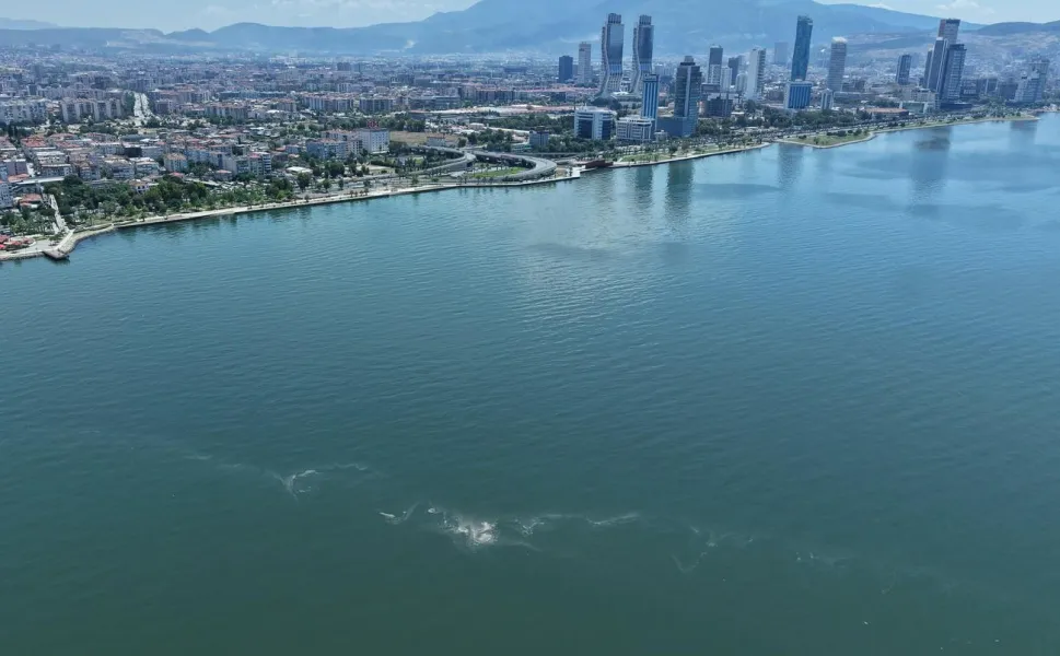 İzmir Körfezi'nde 14'üncü kirlilik tespiti