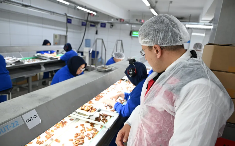 İzmir'de organik tarıma yerinde inceleme