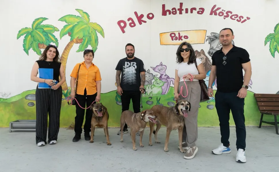 İzmir'de patili dostlar iş başında