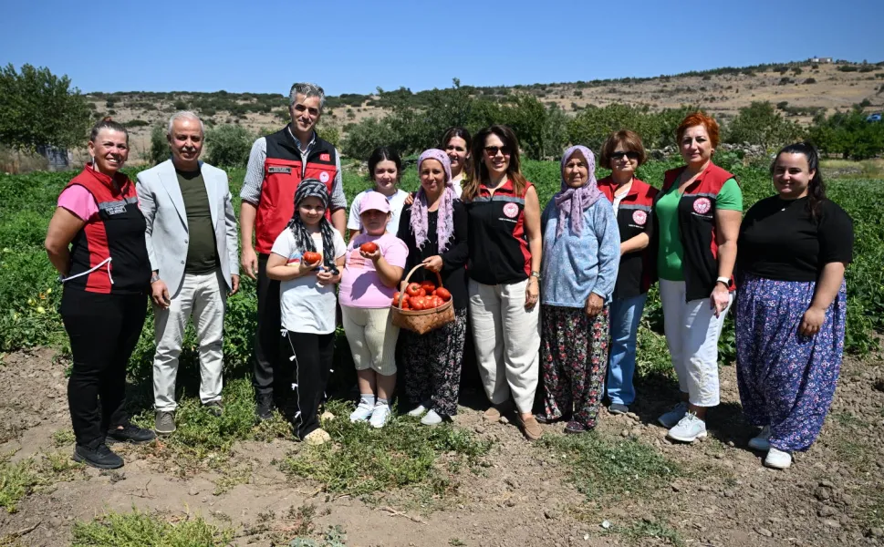 Yamanlar Tarla Domatesi için üreticilerle tarlada buluşuldu