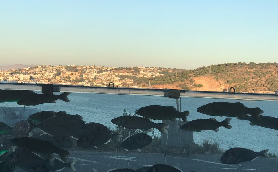 "Villa Akvaryumu" Turizmin ve Ekolojinin Cazibe Merkezi Oldu…