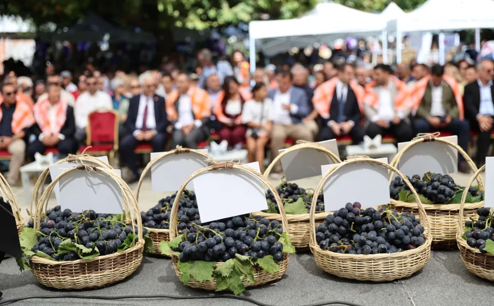 İzmir Karabağlar'da Kavacık Üzüm Festivali coşkusu