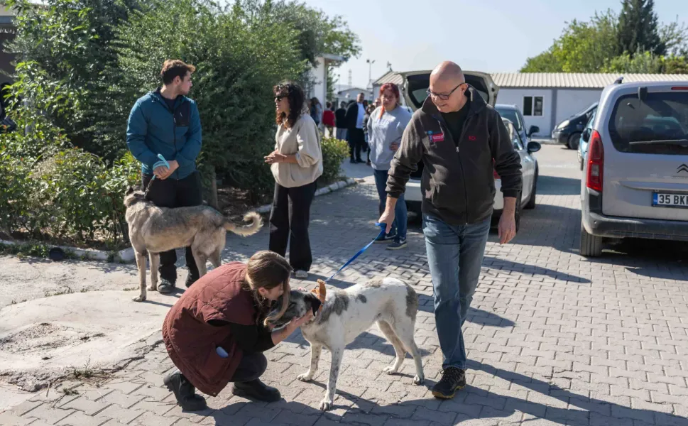 Bornova'da can dostları yeni sahipleriyle buluştu