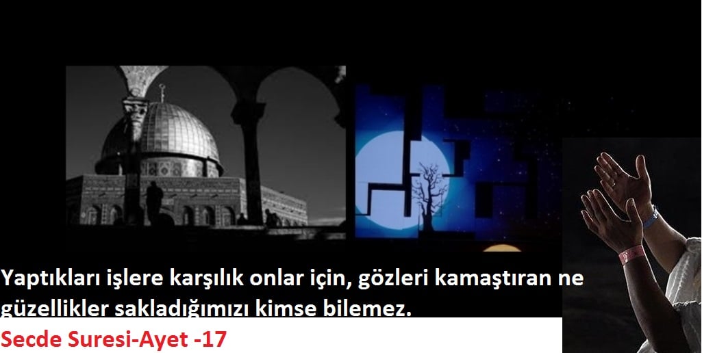 159403620 3822964874446604 4271713213169553638 O