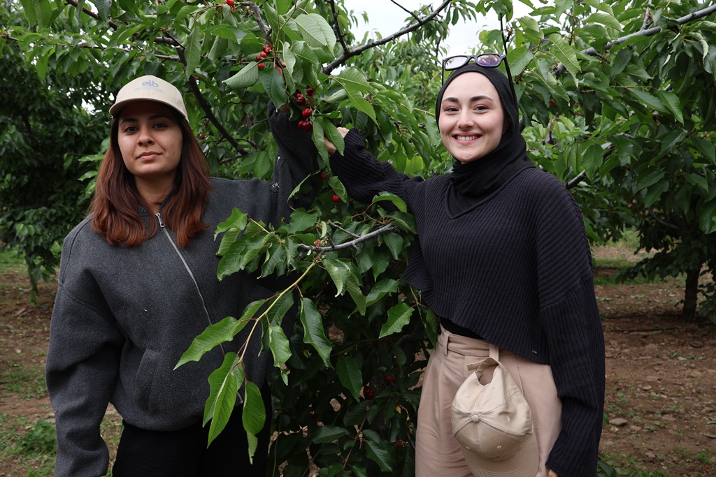 1761112014 1715450472 K I R A Z H A S A T I O G R E N C I L E R10