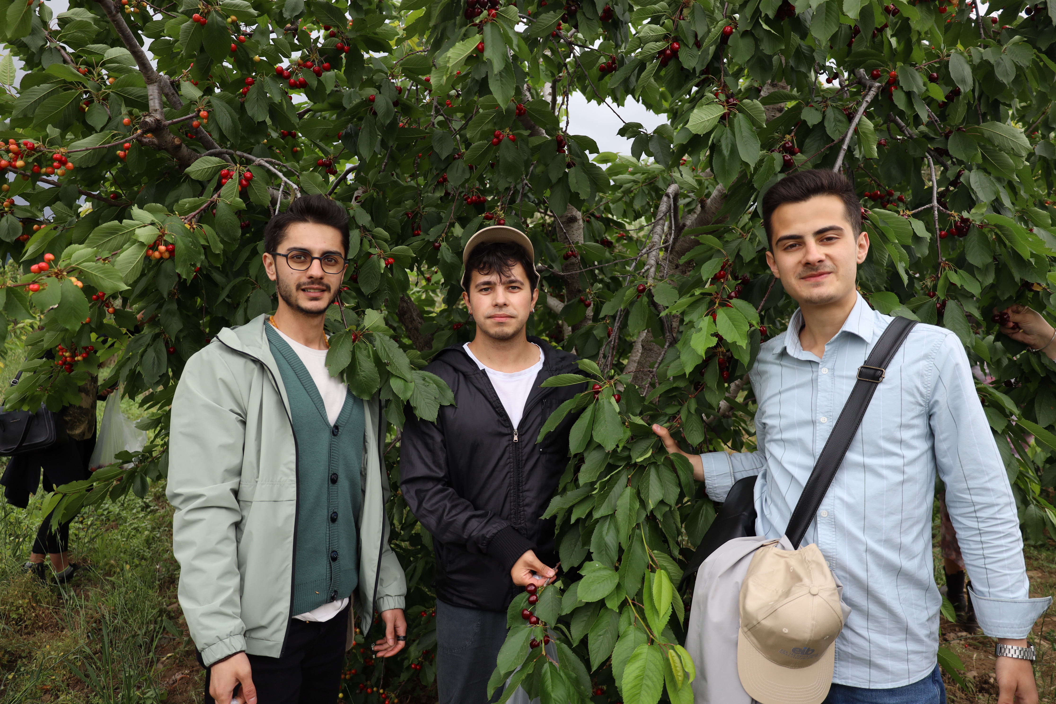 1761112015 1715450428 K I R A Z H A S A T I O G R E N C I L E R4