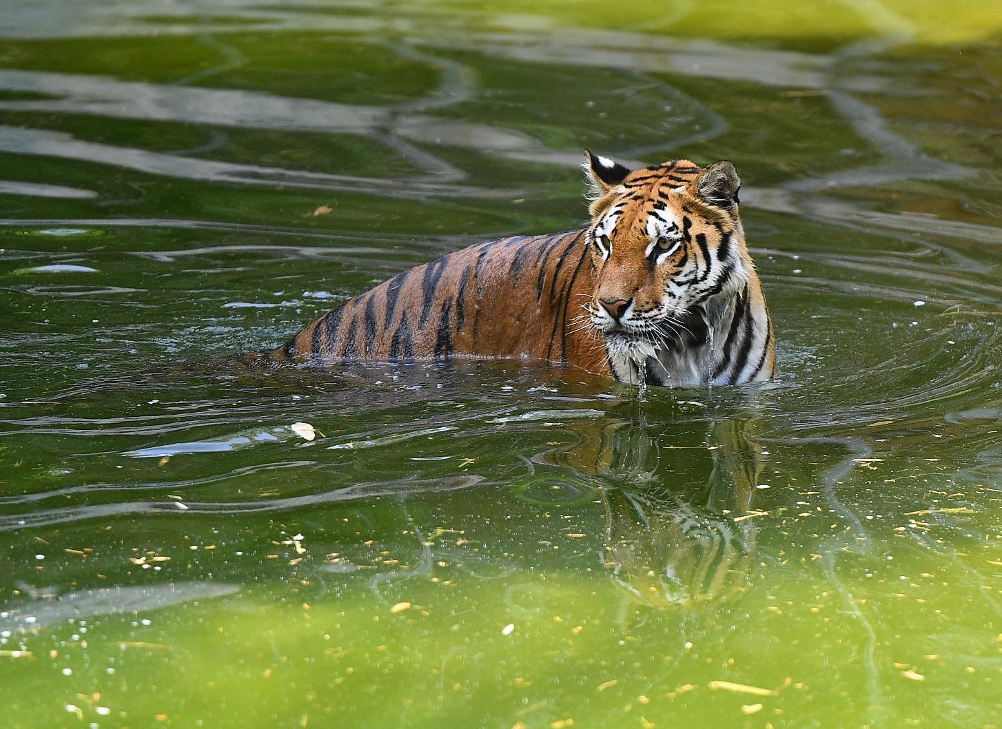 16.11.2025 9D7F87D4 Ba68 46D8 984B A3C5865Bbcbd