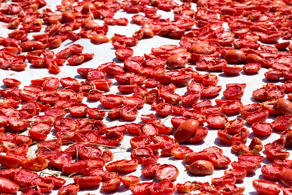 1762503461 K U R U D O M A T E S 17