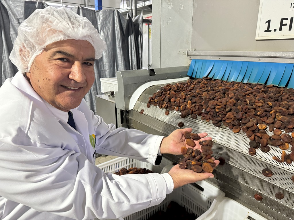 1762926096 1739513050 M E H M E T A L I I S I K 10