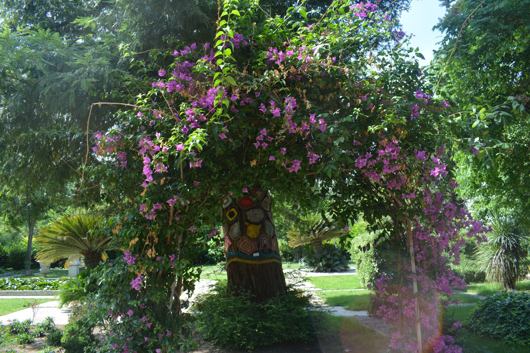 +++Ege Üniversitesinin Endemik Tür Cenneti “Botanik Bahçesi (3)