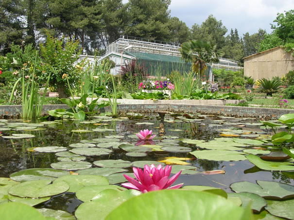 +++Ege Üniversitesinin Endemik Tür Cenneti “Botanik Bahçesi (5)