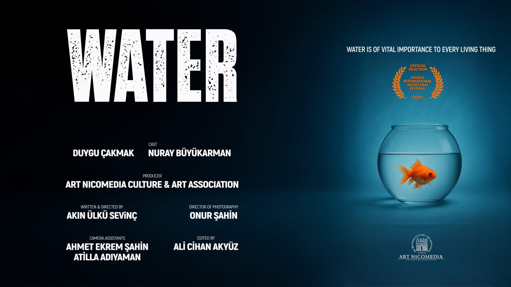 Whats App Image 2025 12 05 At 15.17.00 (1) 152840696