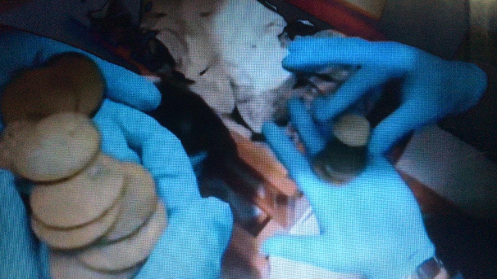 Whatsapp Image 2025 12 20 At 11.37.36